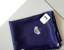 روبالشس ساتن شیک